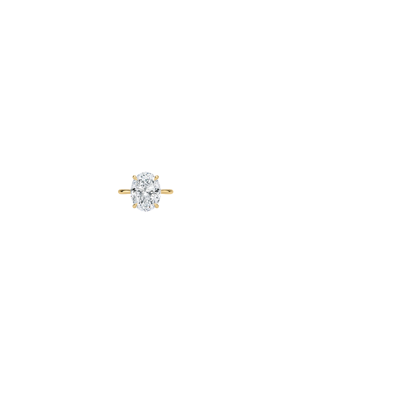 Ring on Hand