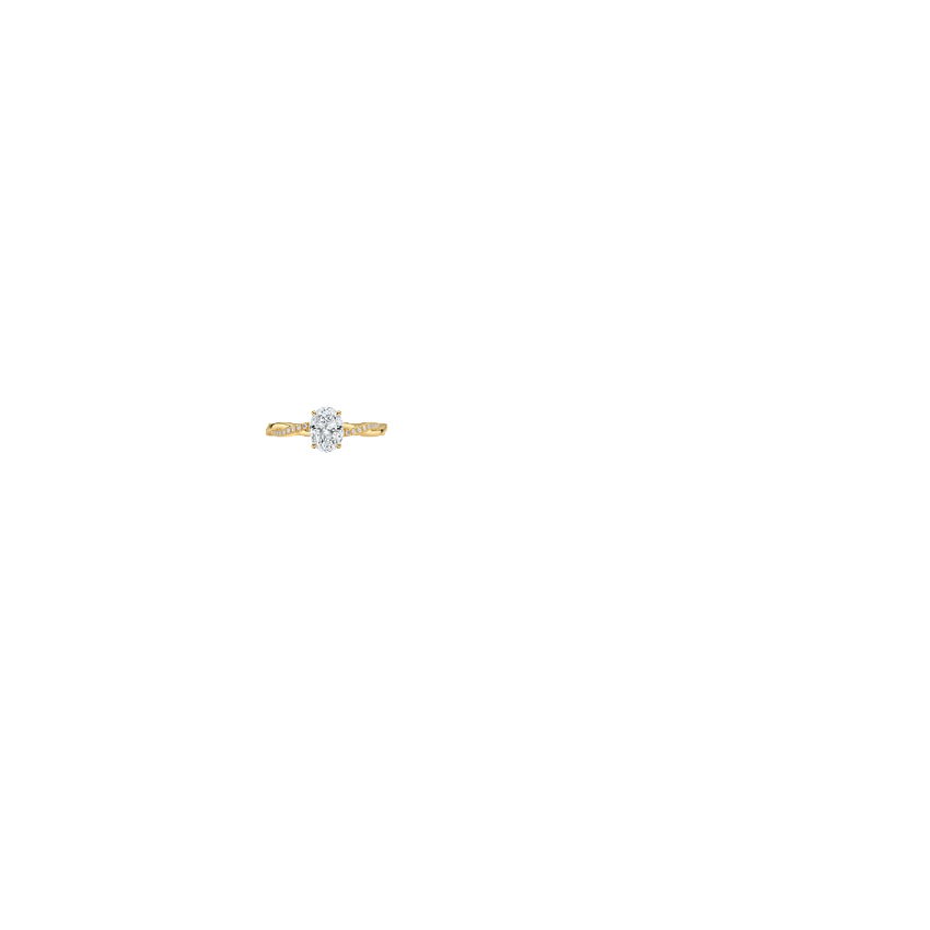 Ring on Hand