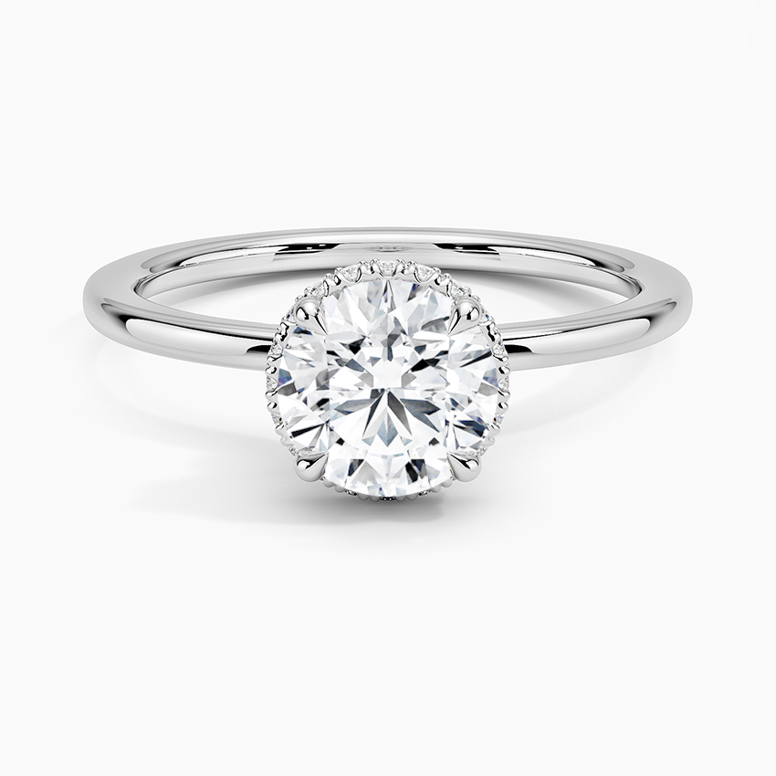 Double Hidden Halo Plain Band Setting Brilliant Earth