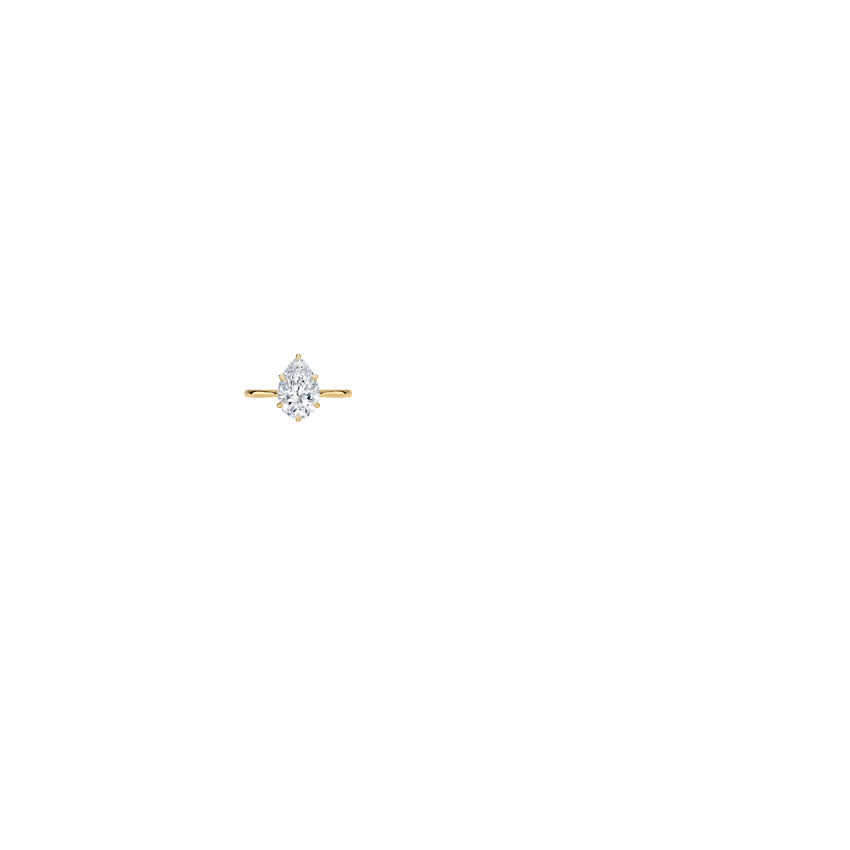 Ring on Hand