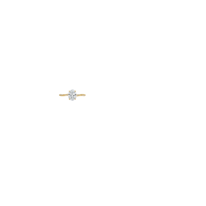 Ring on Hand