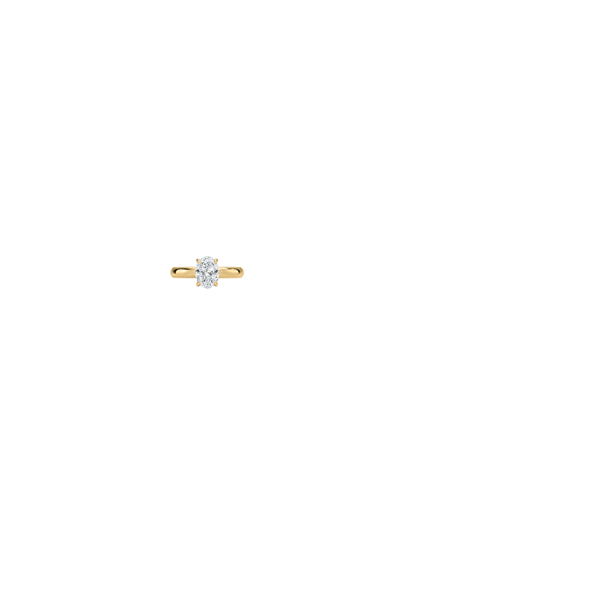 Ring on Hand