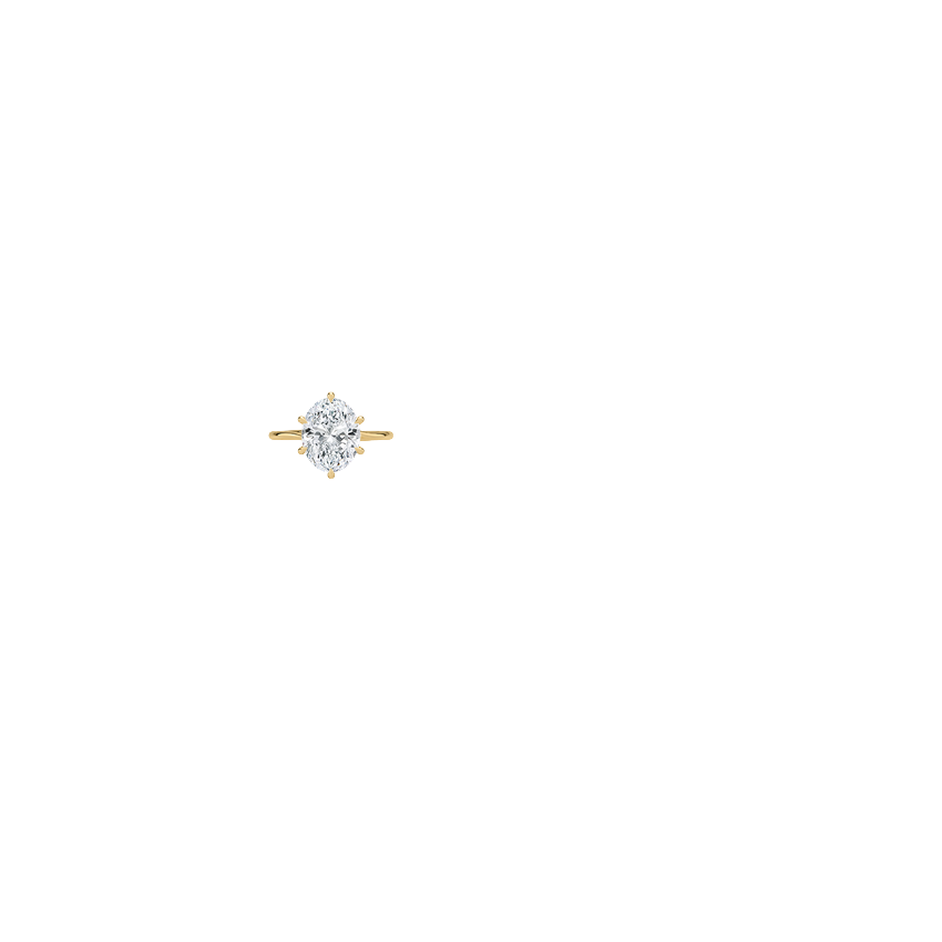 Ring on Hand