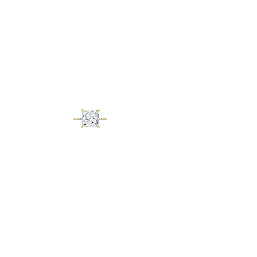 Ring on Hand