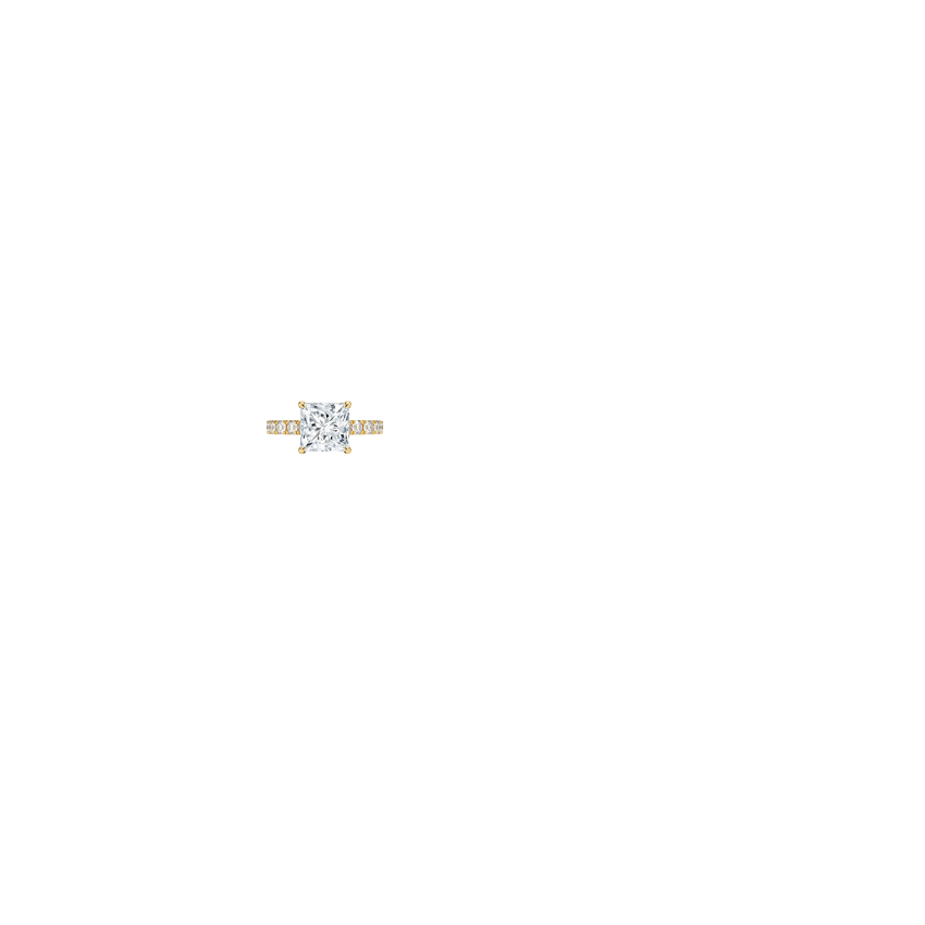 Ring on Hand
