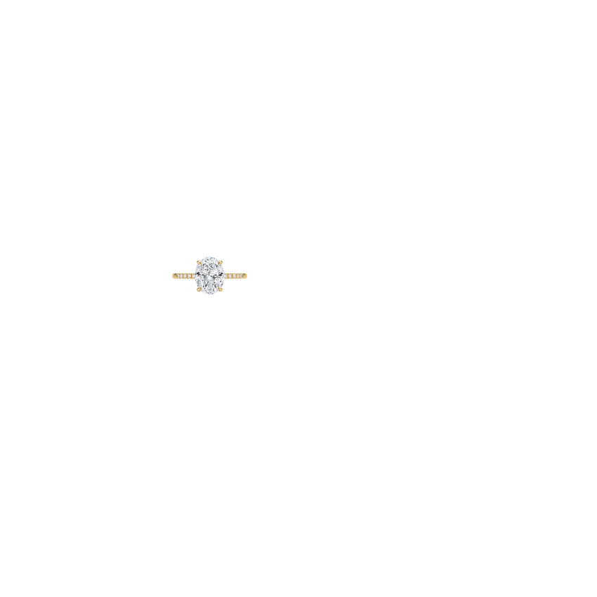 Ring on Hand