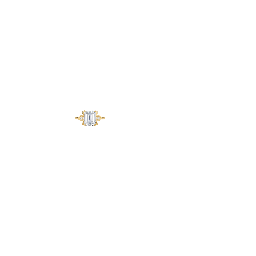 Ring on Hand