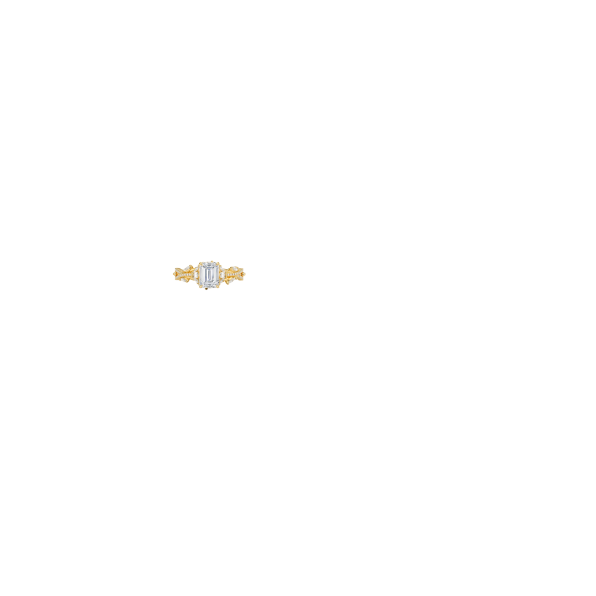 Ring on Hand