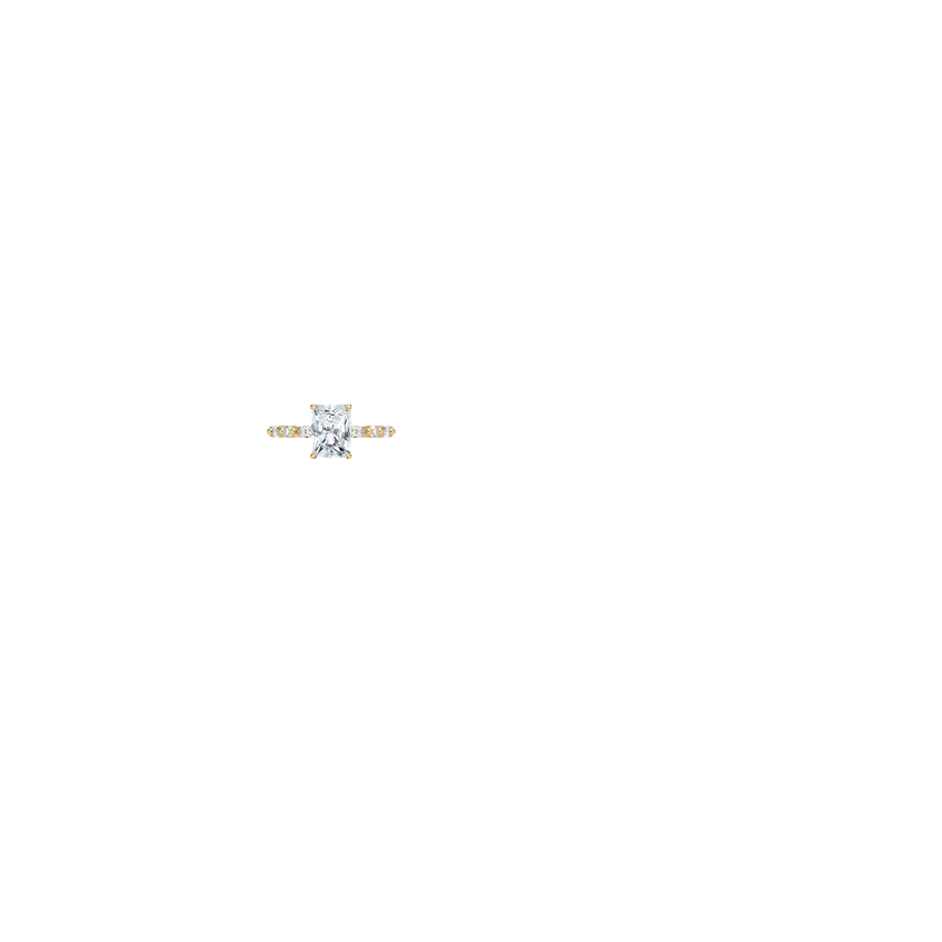 Ring on Hand