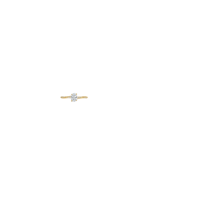 Ring on Hand