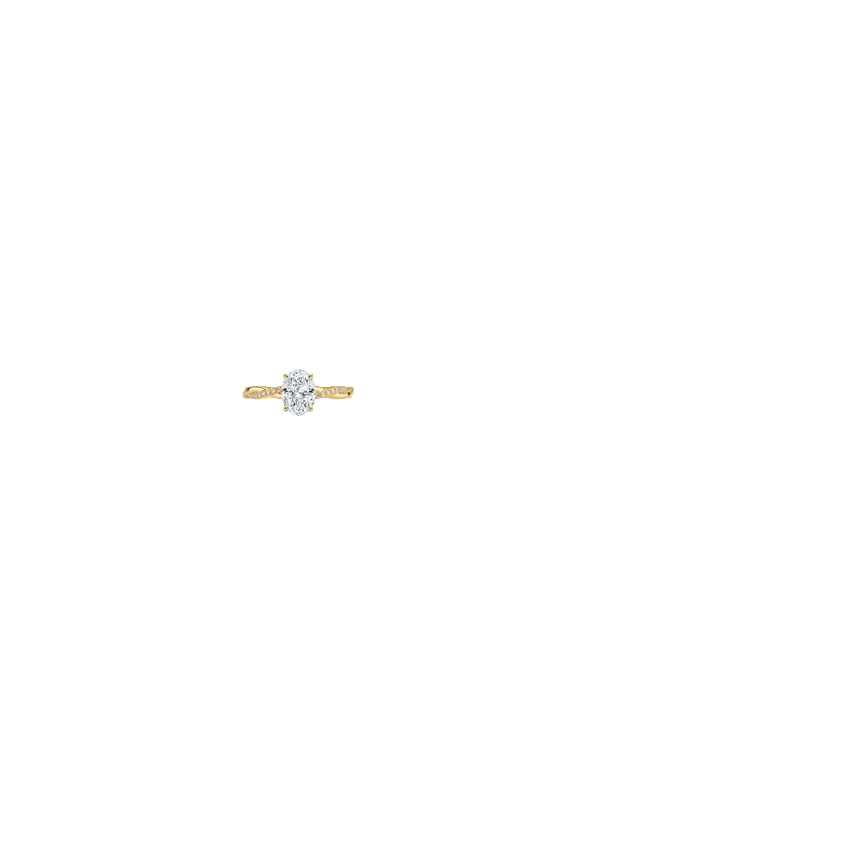 Ring on Hand