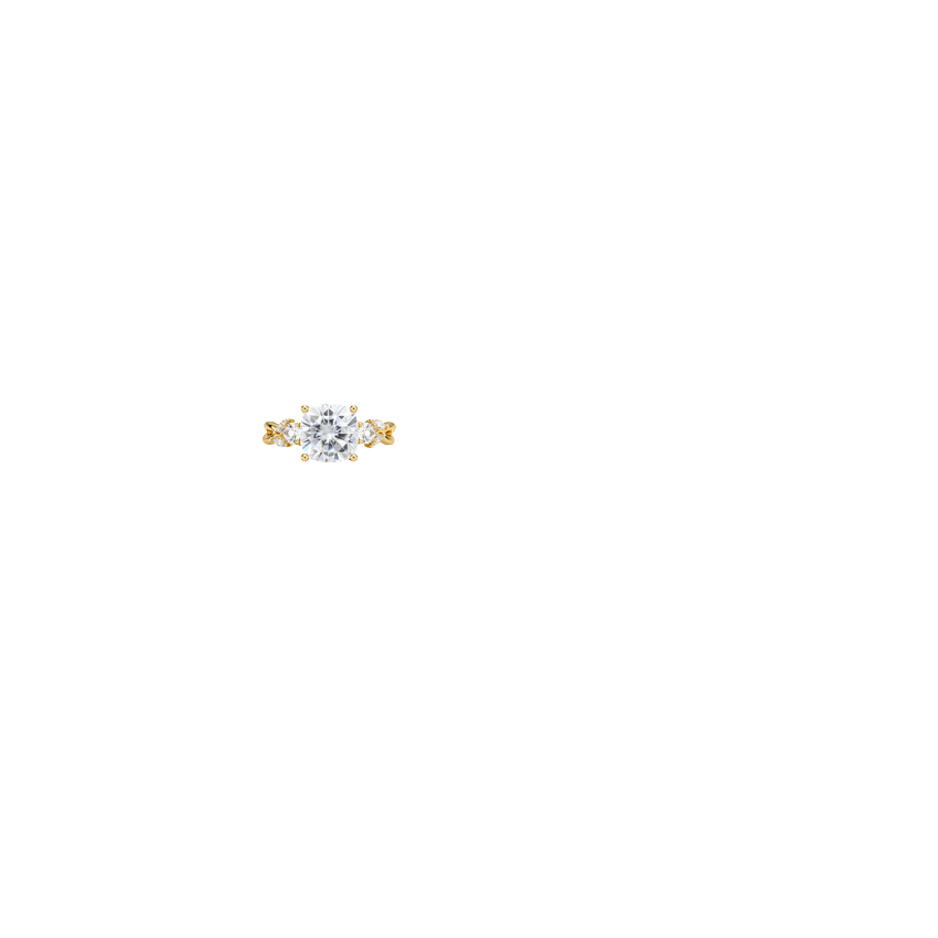 Ring on Hand