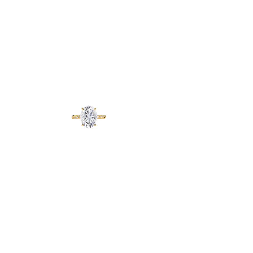 Ring on Hand