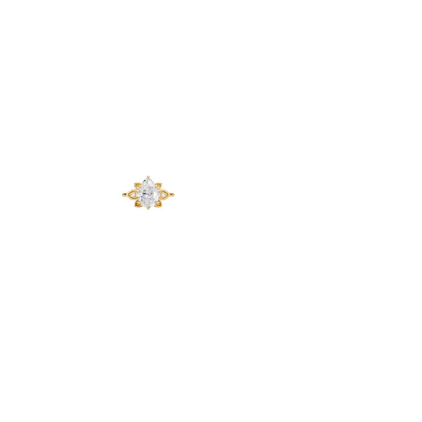 Ring on Hand