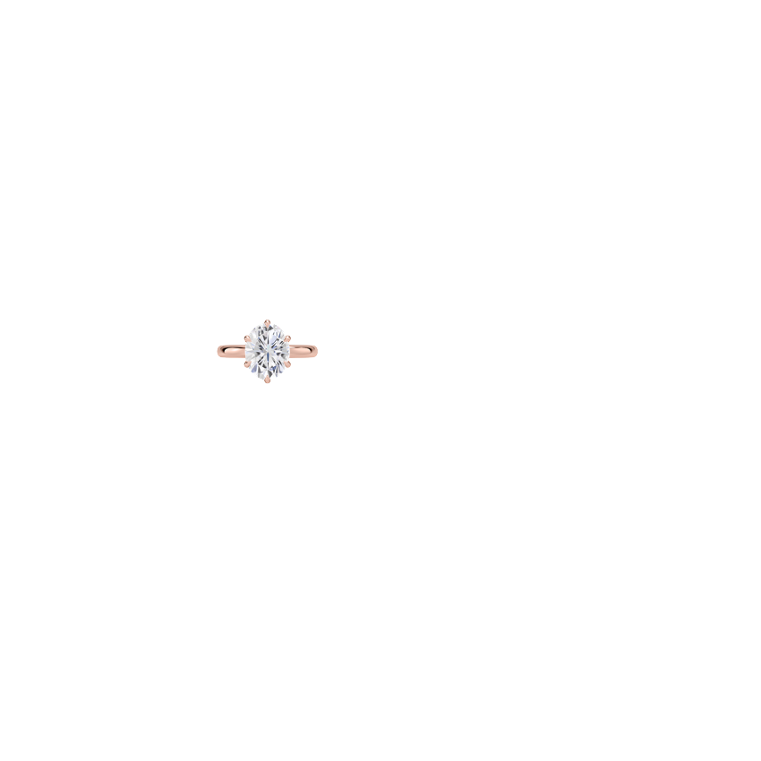 Ring on Hand