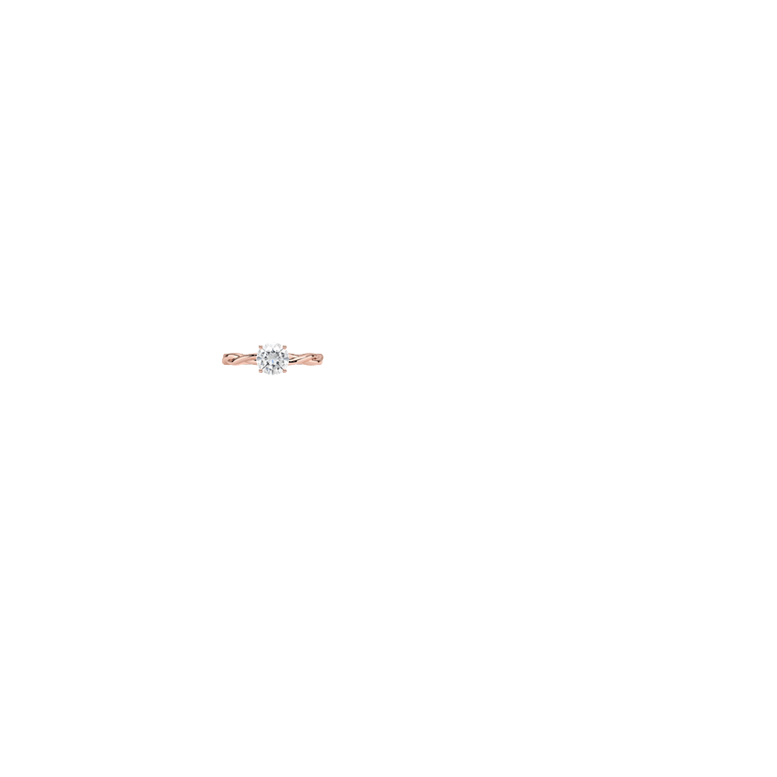 Ring on Hand