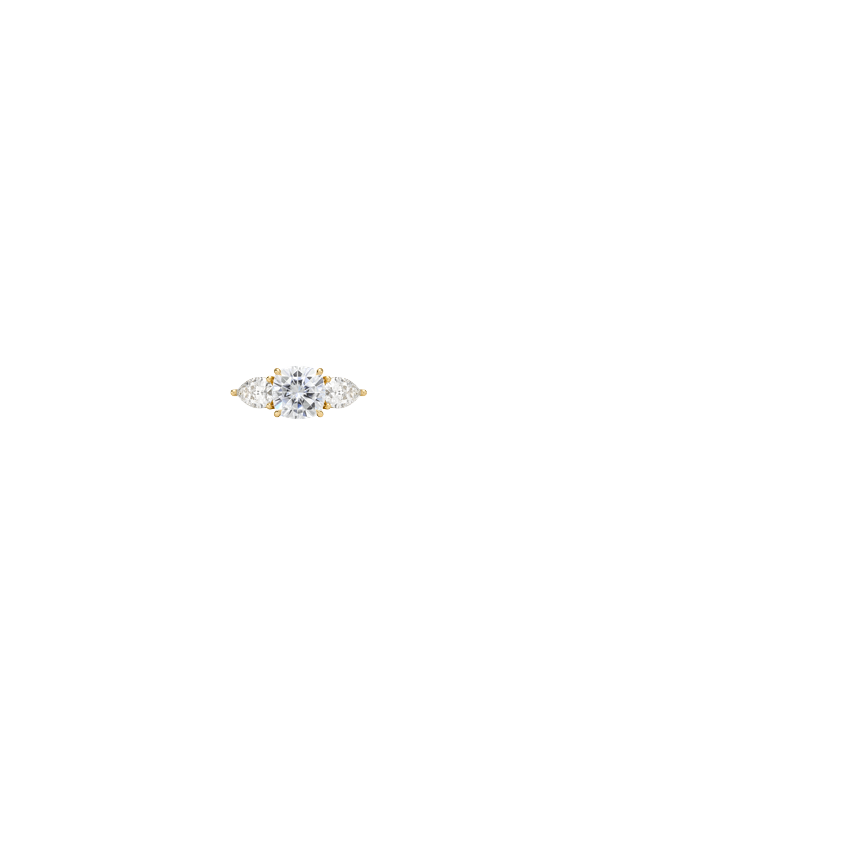 Ring on Hand