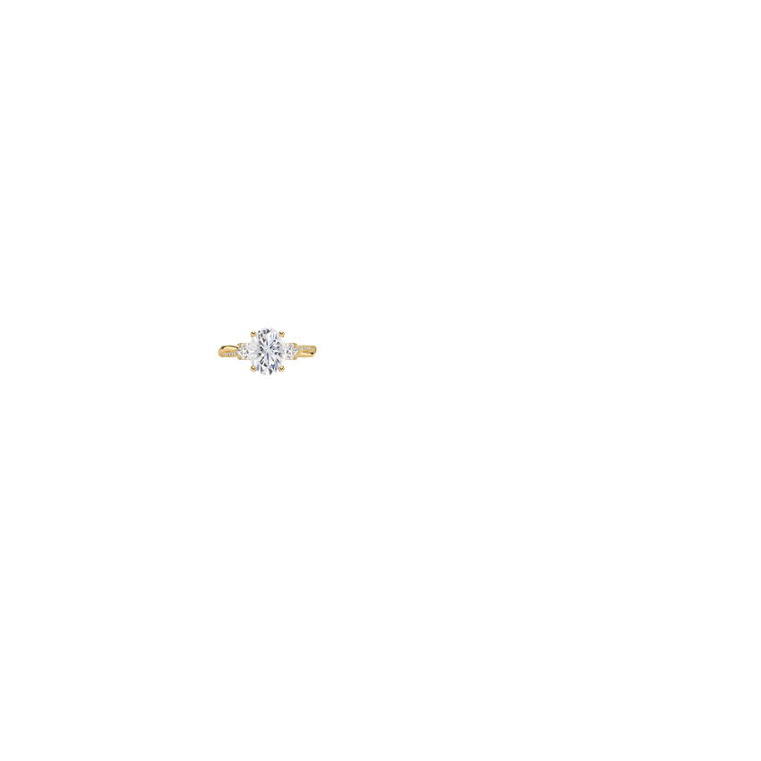 Ring on Hand