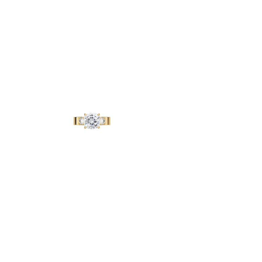 Ring on Hand
