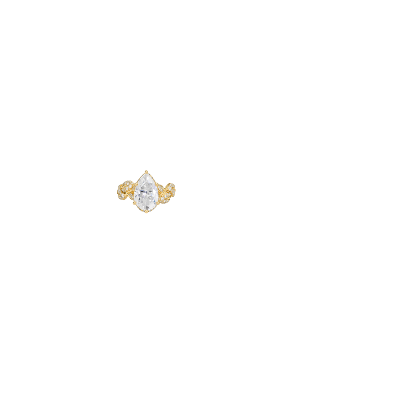 Ring on Hand