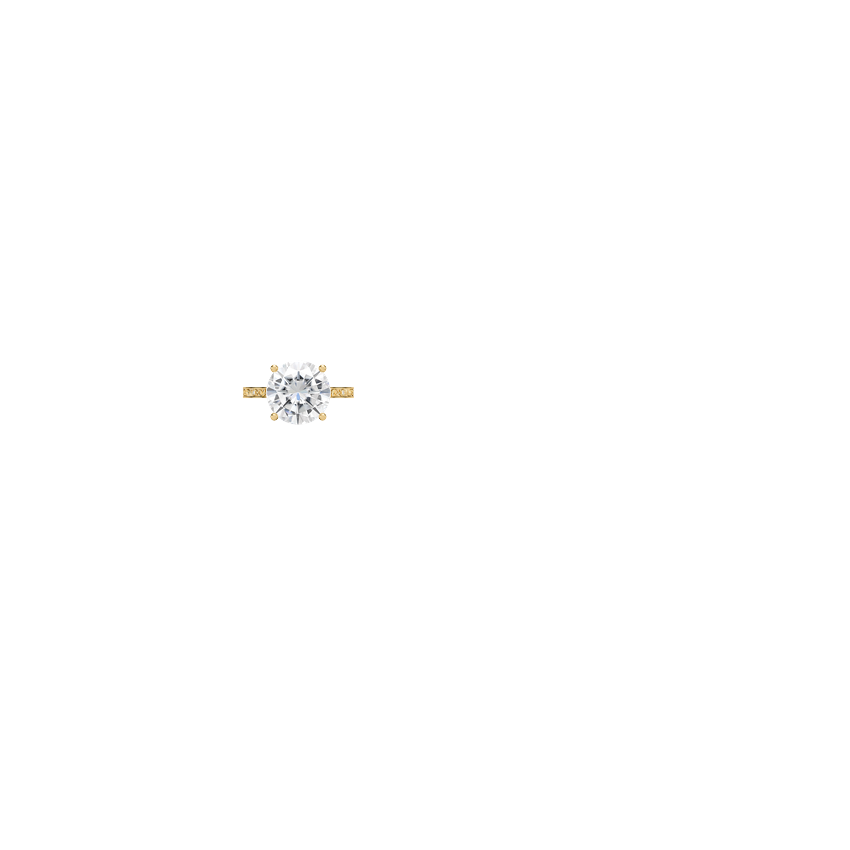 Ring on Hand