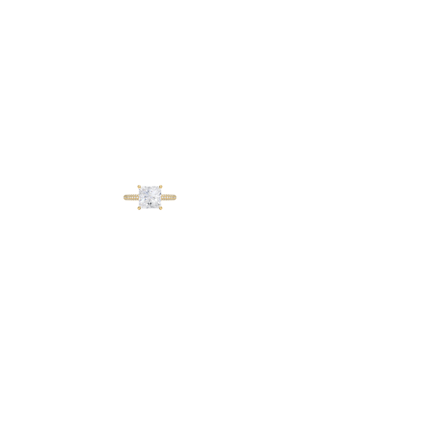 Ring on Hand