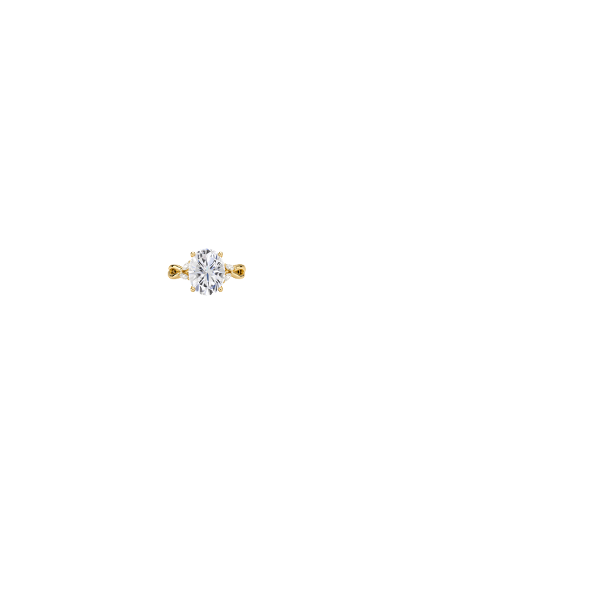 Ring on Hand