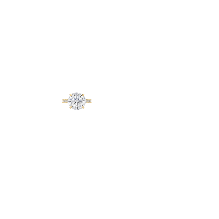 Ring on Hand