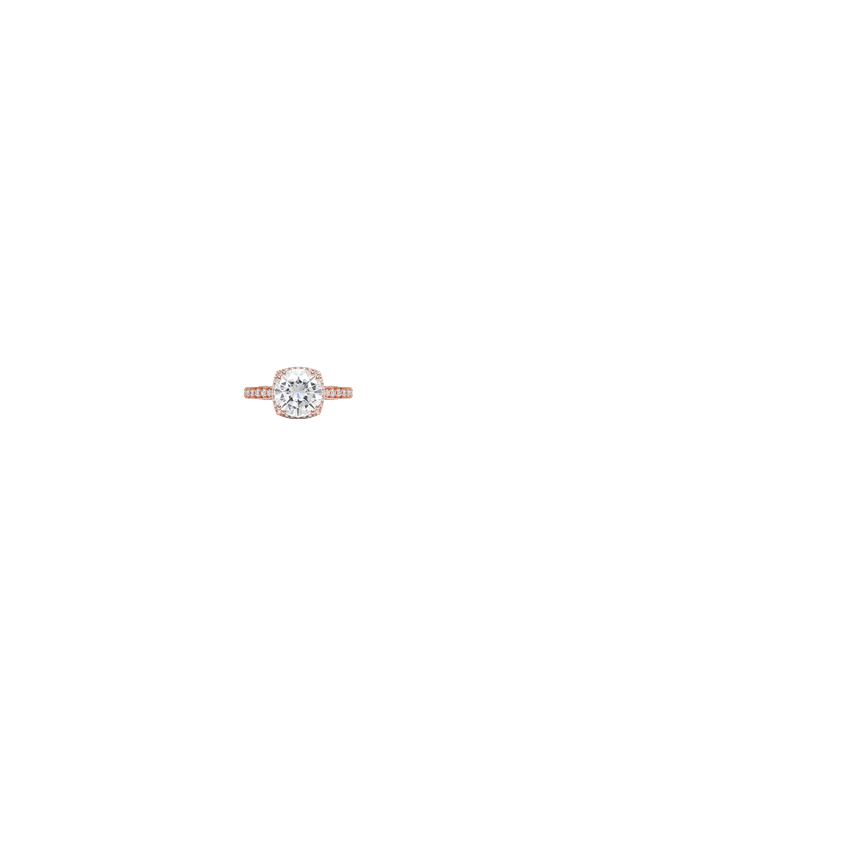 Ring on Hand