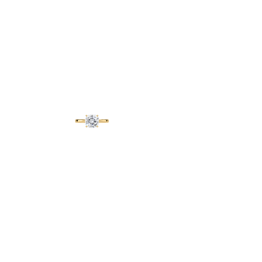 Ring on Hand