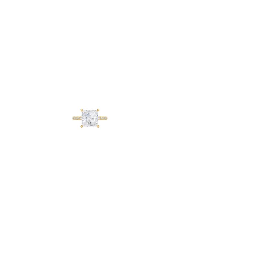 Ring on Hand