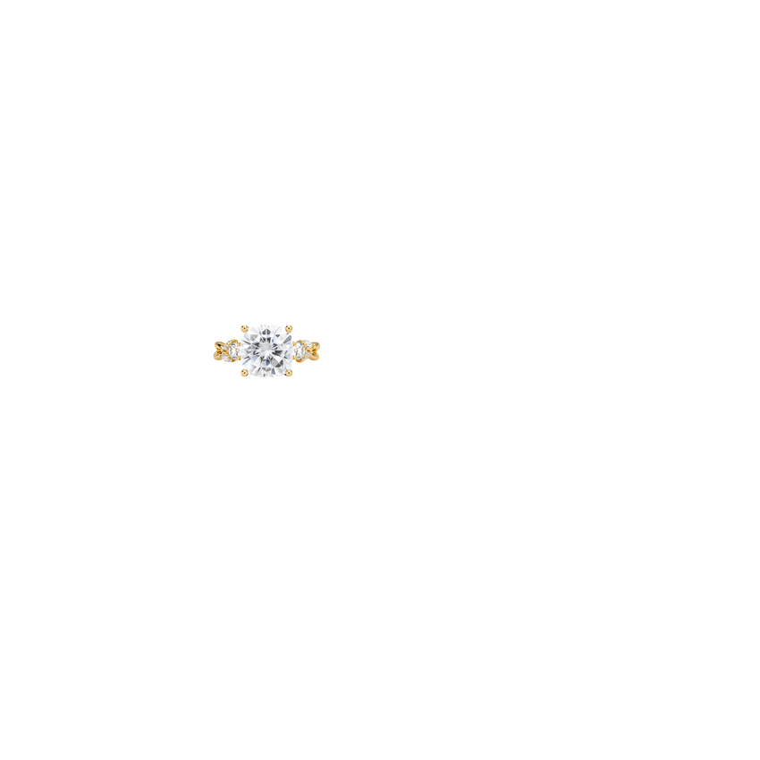 Ring on Hand