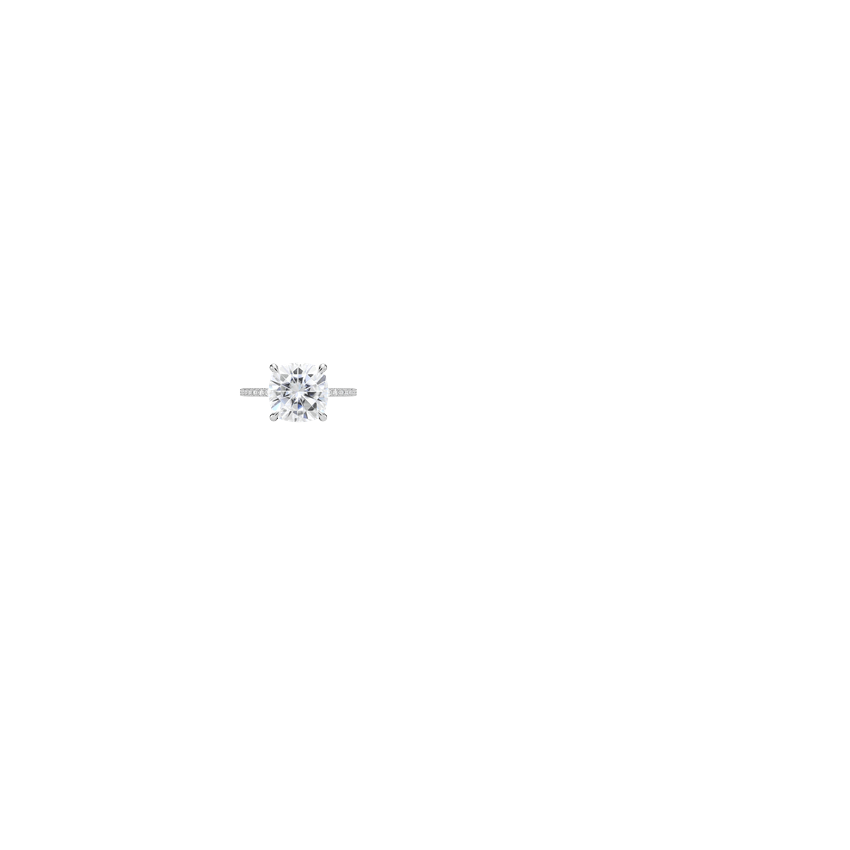 Ring on Hand