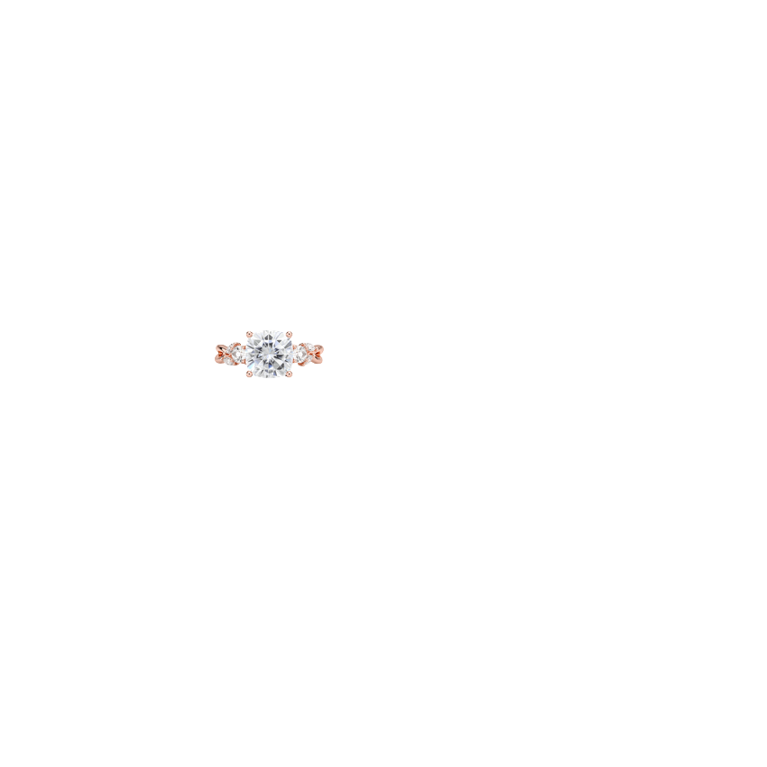 Ring on Hand