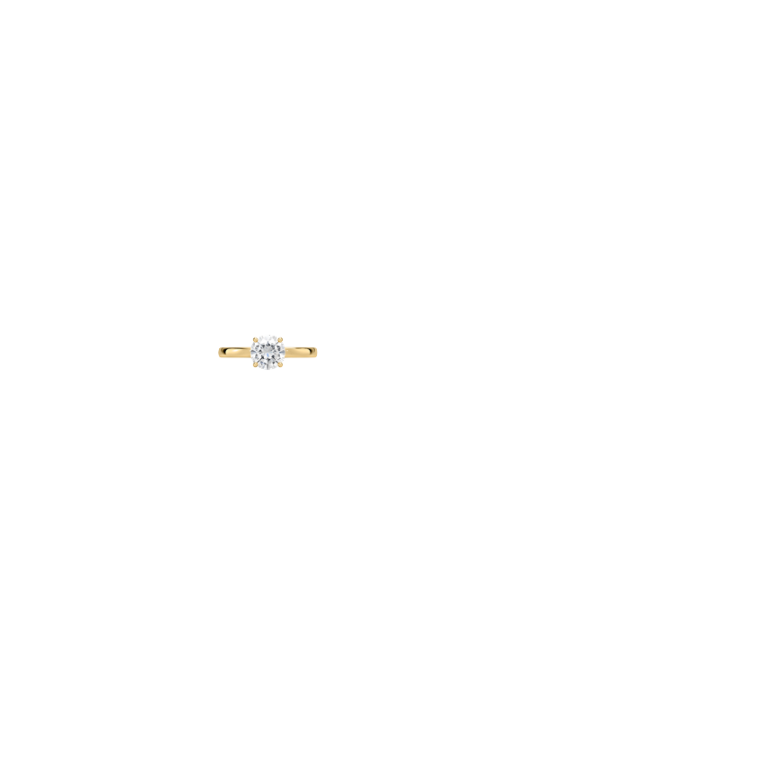 Ring on Hand