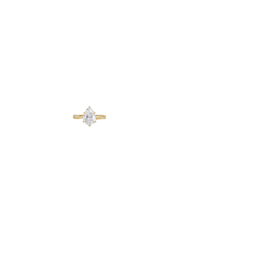 Ring on Hand