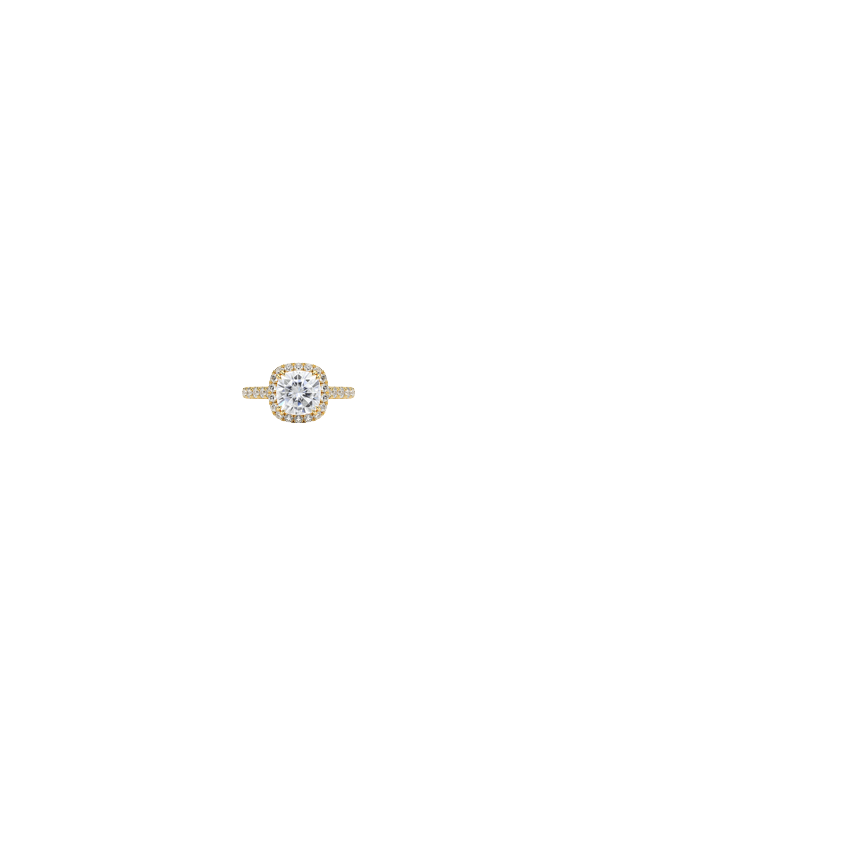 Ring on Hand