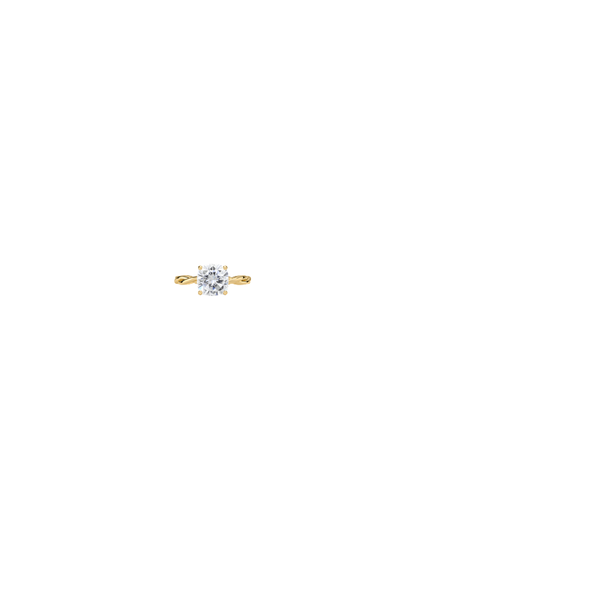 Ring on Hand