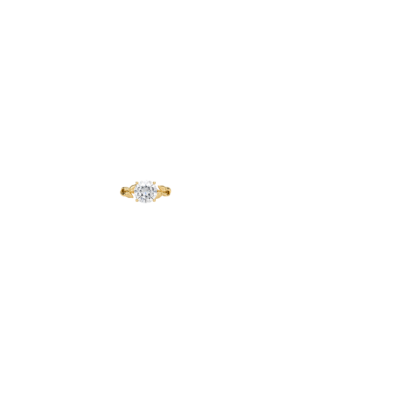 Ring on Hand