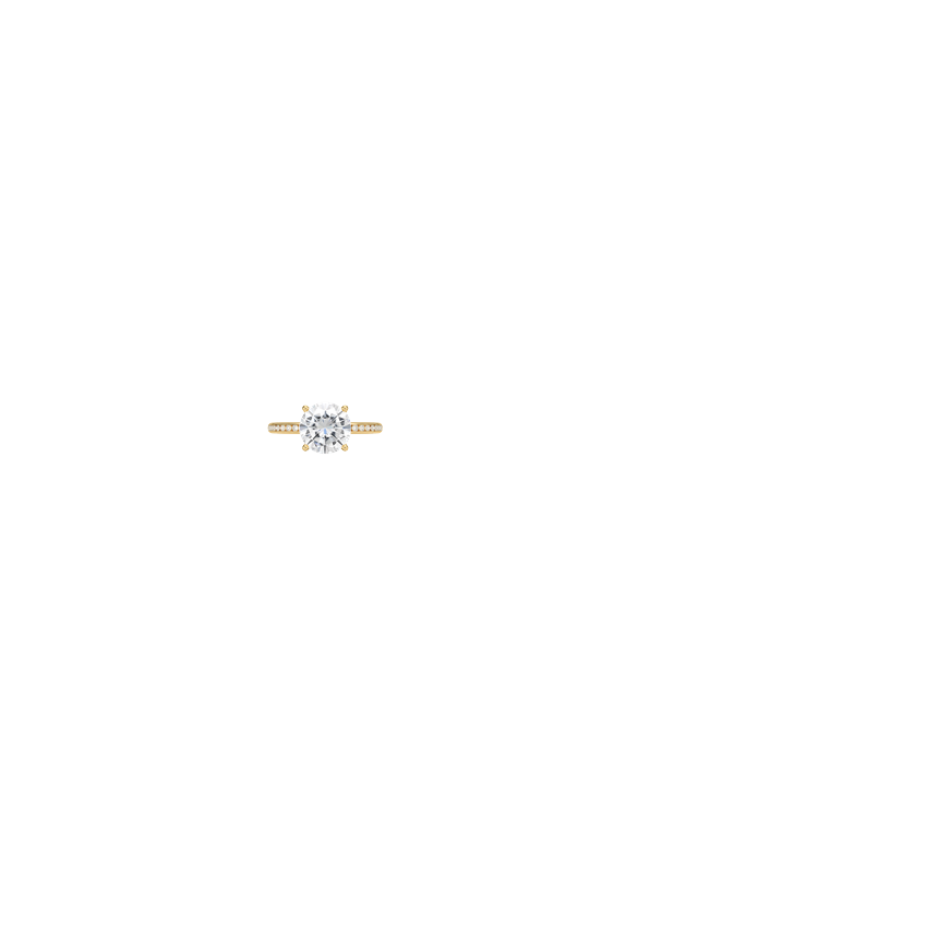 Ring on Hand