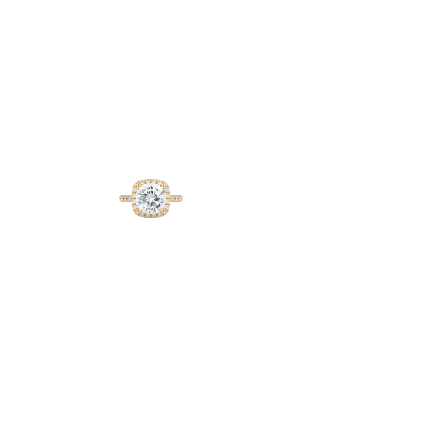 Ring on Hand