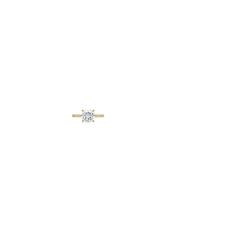 Ring on Hand