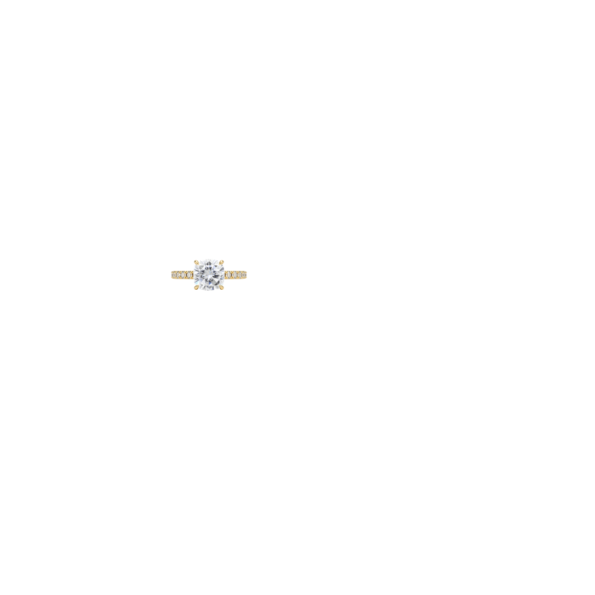 Ring on Hand
