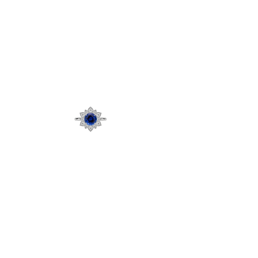 Ring on Hand