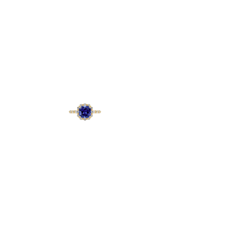 Ring on Hand