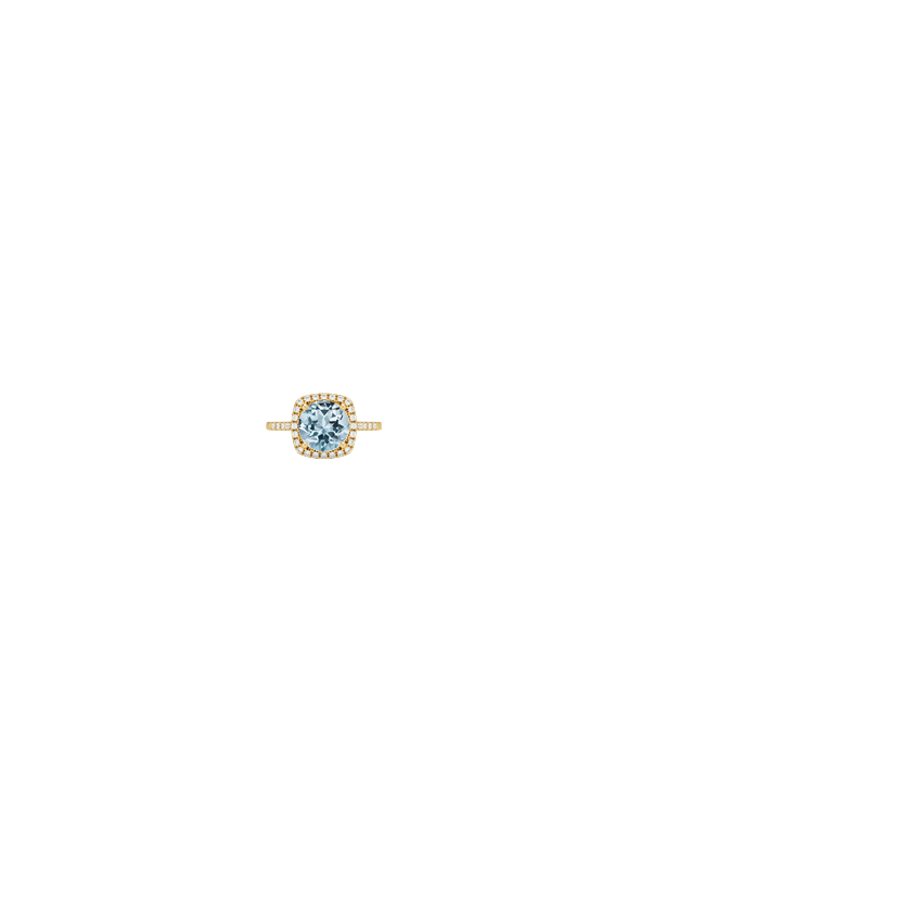 Ring on Hand