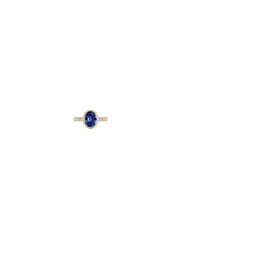 Ring on Hand