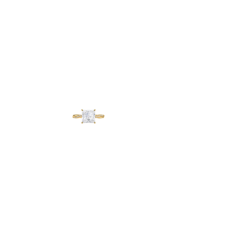 Ring on Hand