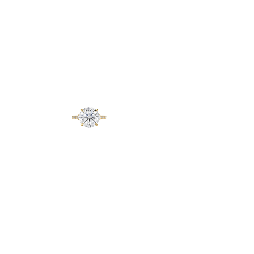 Ring on Hand