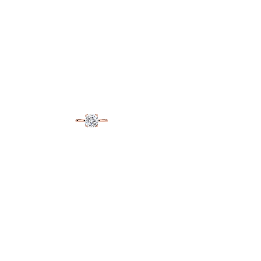 Ring on Hand